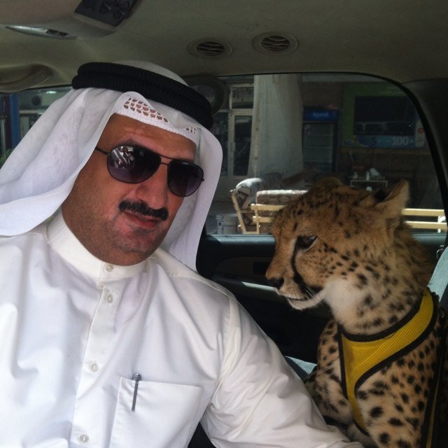 سعيد في تواصلي معكم