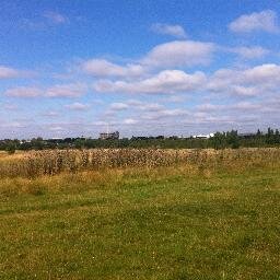 The Scrubs is common land: beautiful wild diverse in human & wild life. Thoughtful redevelopment of Old Oak Common is good but current plans risk the Scrubs