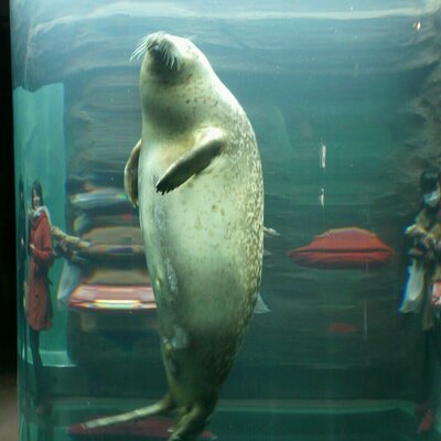 ジャン＝バティスト男爵