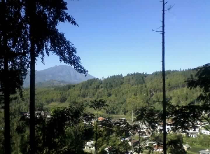 Suryoanugrah1's profile picture. pindah akun dari @SuryoAnugrah