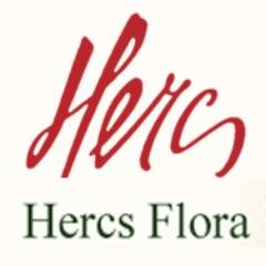Firma HERCS FLORA ir apzaļumošanas studija, kas ar iekštelpu apzaļumošanas projektu izstrādi, realizāciju un telpaugu apkopi nodarbojās jau vairāk kā 15 gadus