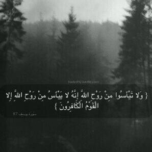 senyori66077859's profile picture. 