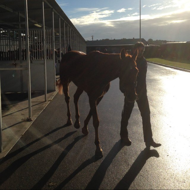 boneman1969's profile picture. 