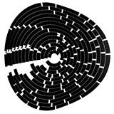graphic designer / artist
