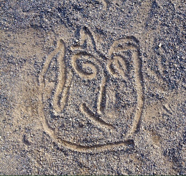 menme213's profile picture. 