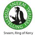 Sneem Storytelling (@SneemStory) Twitter profile photo