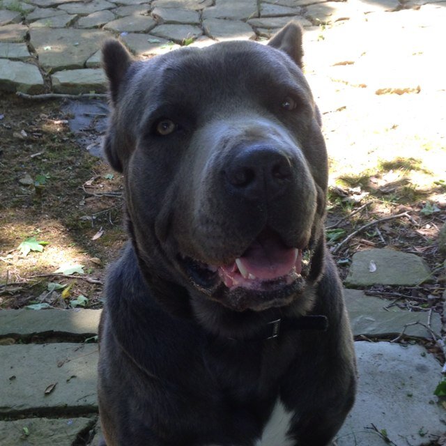 auntiem379's profile picture. 