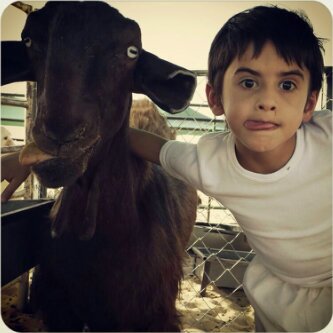 mjood1155's profile picture. 