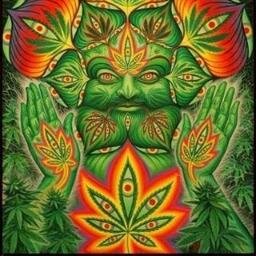 When you say Weed/Hemp/Cannabis don't speak of drugs, real drugs are in the drug store!