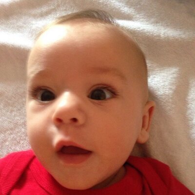 Corina Toader Pulafiore Twitter