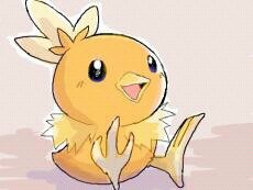 アチャモさんのプロフィール画像