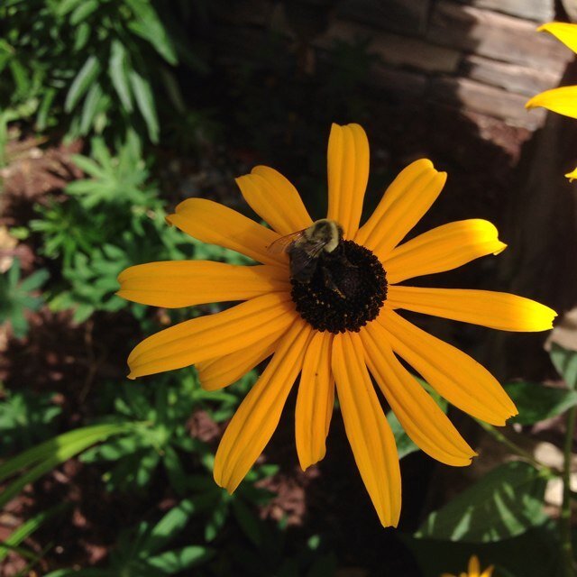 RSertich's profile picture. 