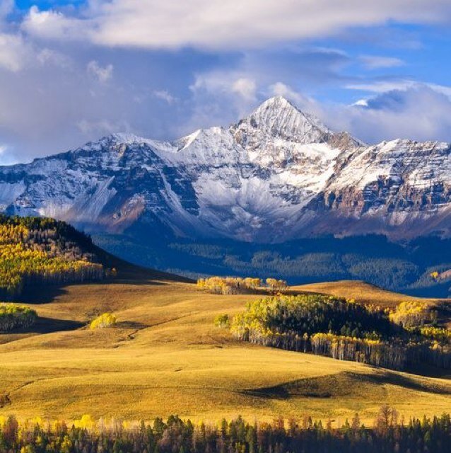 tkier24's profile picture. 