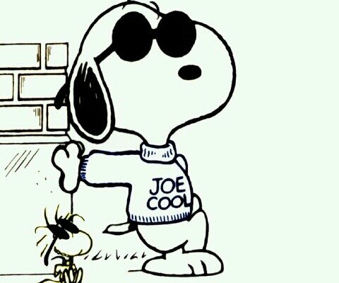 CR500Rick's profile picture. anything offroad is ok with me