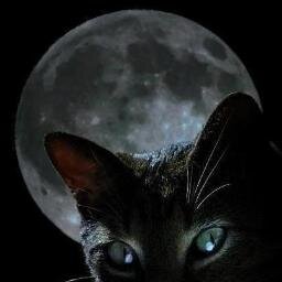 elandariego333's profile picture. 