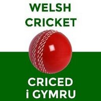Welsh Cricket (@welshcricket) Twitter profile photo