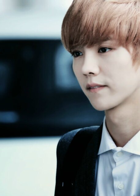 miki_ran91's profile picture. Boy Who Cried Wolf