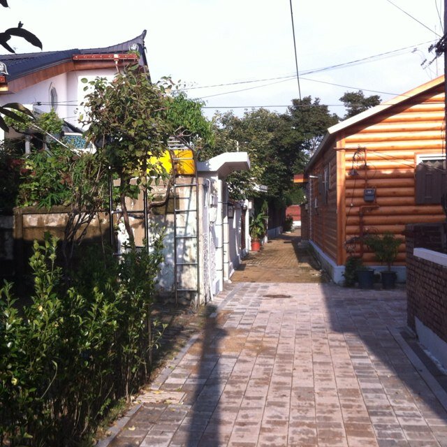 사회적 기업 , 지속 가능한 기업