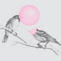 Aurélie Avril (@avrilaurelie) 's Twitter Profile