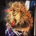 Cat Shanley (@catcshanley) Twitter profile photo Cat Shanley (@catcshanley) Twitter profile photo