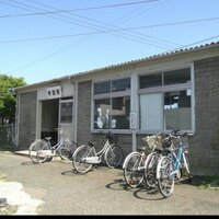 shiba (@n_s_lefty) 's Twitter Profile