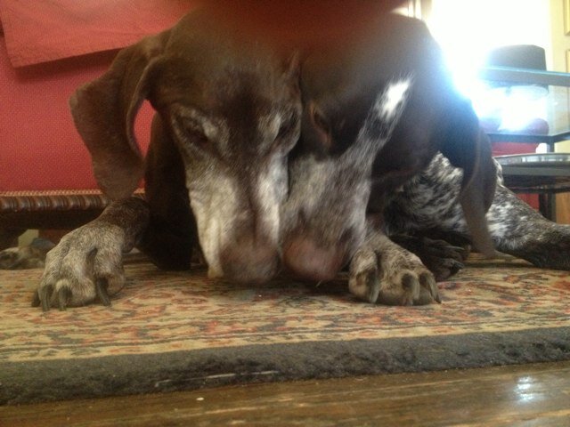 howiept109's profile picture. 