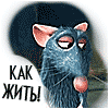 Компьютерные игры . ;  практикую.Переводчик
