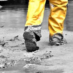 A resource for dance and movement arts in rural West Wales http://t.co/fc91I2Bcy6 Maynard Festival 3 is on 15-16 May 2015