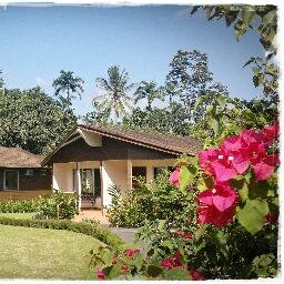 Villas Eco Arenal le brinda a sus visitantes descanso en armonía con la naturaleza, relajación, servicio de Tours y muchas actividades! Reserve ya al 2479-8500