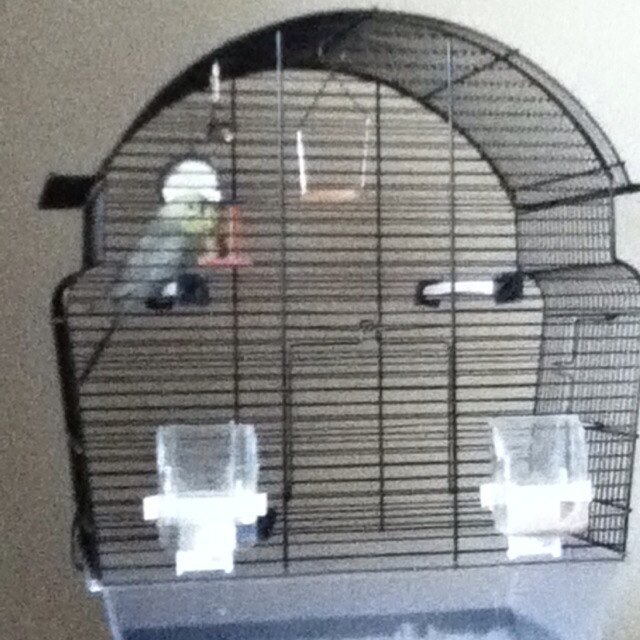 YouriD4's profile picture. Ajax amsterdam, farel college amersfoort, M2a, vvhooglanderveen C4