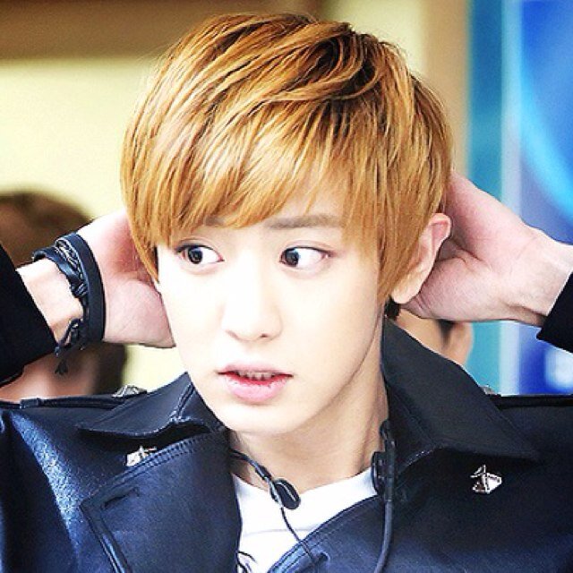 EXO K：박찬열 bot