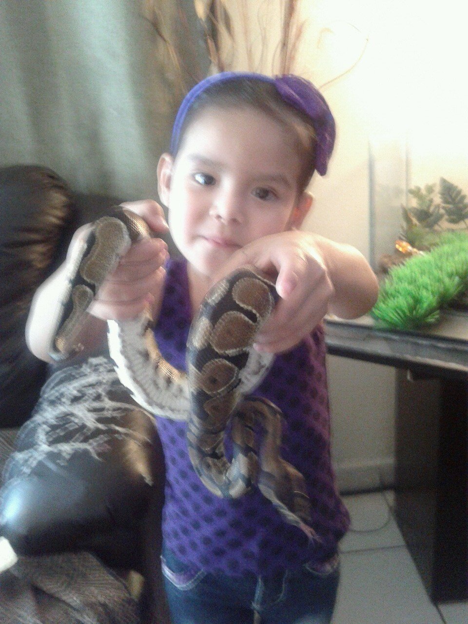 alfonsohdz86's profile picture. MAGICAS PRINCESAS