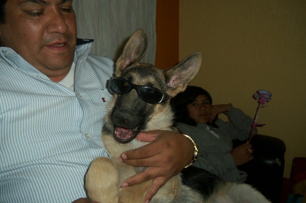Soy un hombre directo y en ocasiones irreverente, tengo afición por los autos y los perros. además de interesarme la historia universal