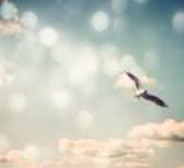 اللهم احسن خاتمتي وتوفني وانت راضٍ عني ♡ استغفر الله واتوب اليه.. :)♡ . , الـرياض ♡ .


الخاص ممنووع )؛