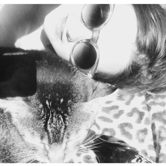 Art student & cat lover.