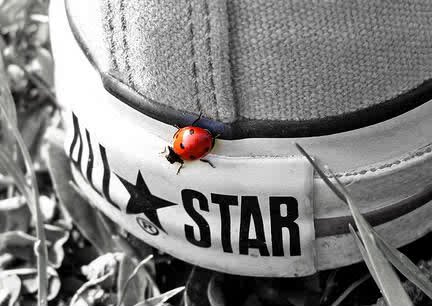 danubenedictine's profile picture. 