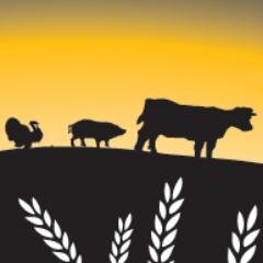 Nous sommes une ferme certifiée bio, nous cultivons et faisons l'élevage dans le plus grand respect des ressources naturelles.