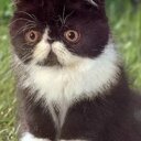 Mick Martin - @moparmickey - Twitter