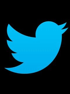 mmo305X's profile picture. @ccooccd