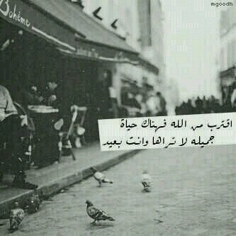 للجنِّة كلّ المٌنى ، ولها تصاغرت المدى ، حلمي الذي لا يخبتٌ أبدّا و لن يتبدّدا : () ..