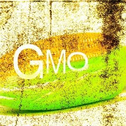 GMO Facts and how they hurt the enviroment. GMOs are genectically modified organisms which are severe to our environment and we want it to stop. #TimmonsHBio