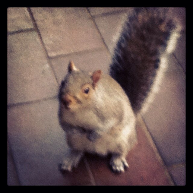 JessicaDR3's profile picture. 