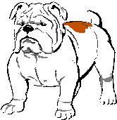 FDHScounselor's profile picture. 