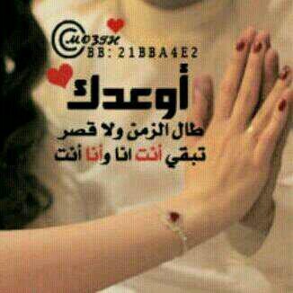 B H BH   502   757