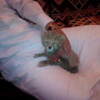 MarKh115's profile picture. ‏‏‏وليس لي من بعد حديثك حديث اشتهية ♡