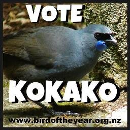 I'm Duncan. Singer, traveller, tweeter and kokako.
Back kicking it in the Waitakere Ranges.