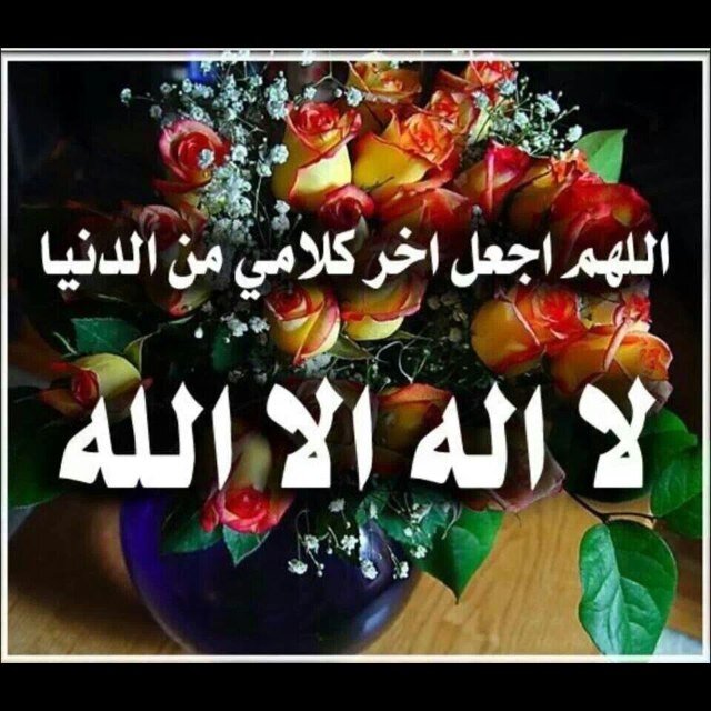 سبحان الله وبحمده سبحان الله العظيم