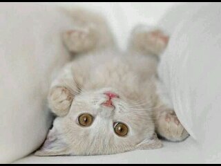 Soy lo que soy, lo de mas vale verga ☀ pin:29EC1D7F solo nenas