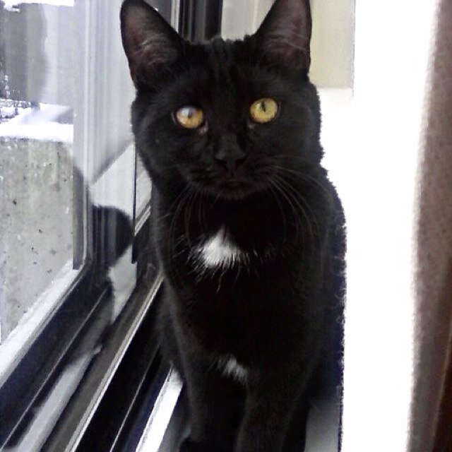 LbrgLuis's profile picture. 