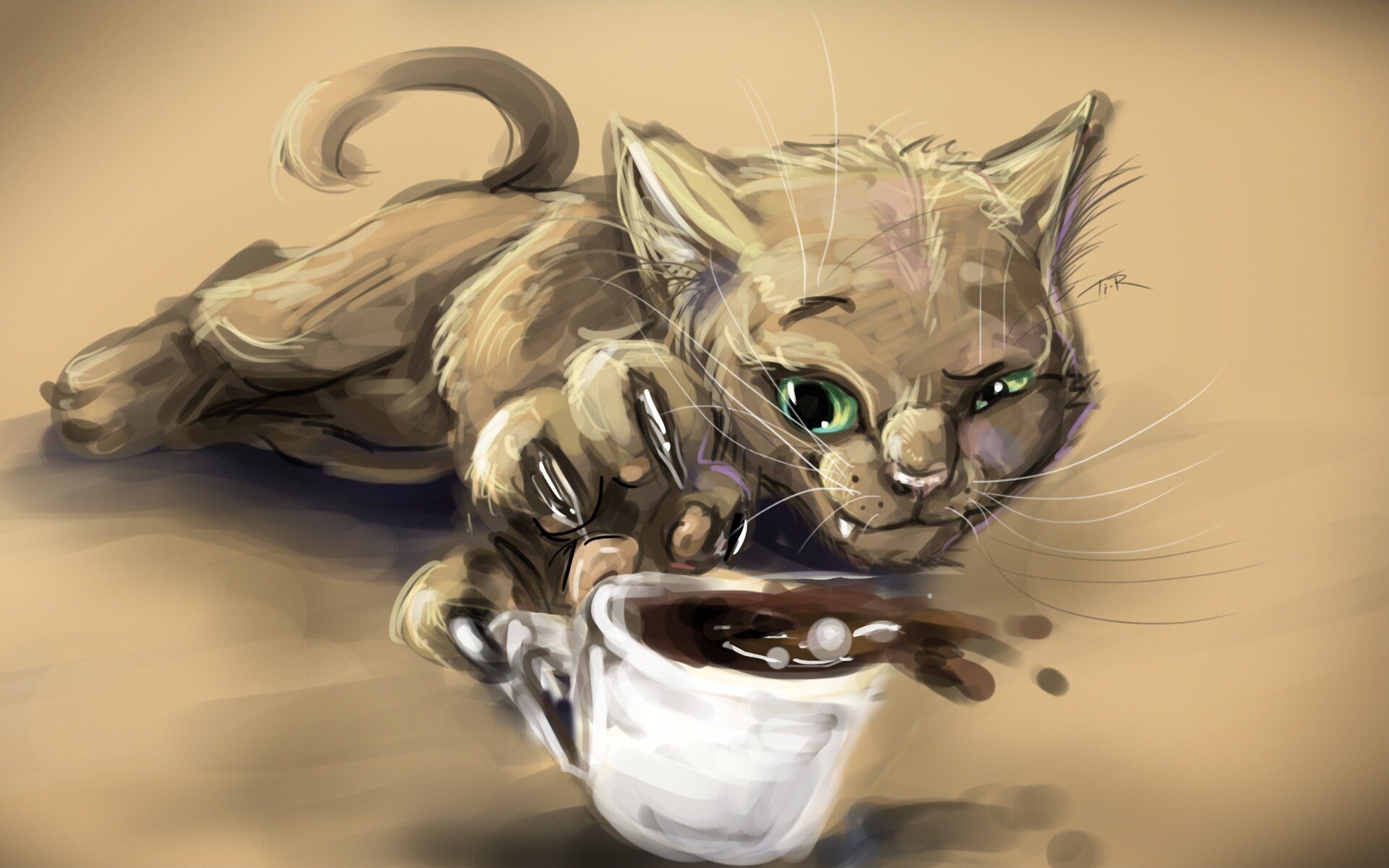 Café Gato (@CoffeeCat15) | Twitter